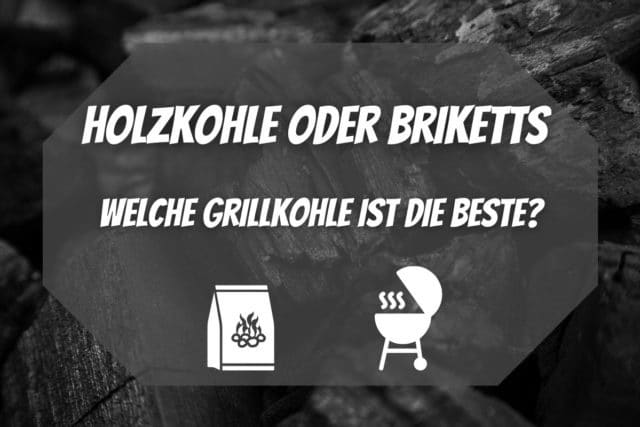 Holzkohle oder Briketts