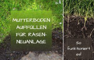 Muttererde auffüllen