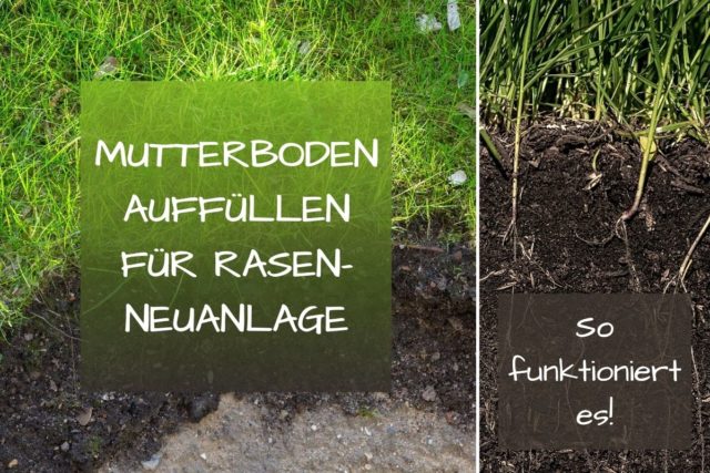 Muttererde auffüllen