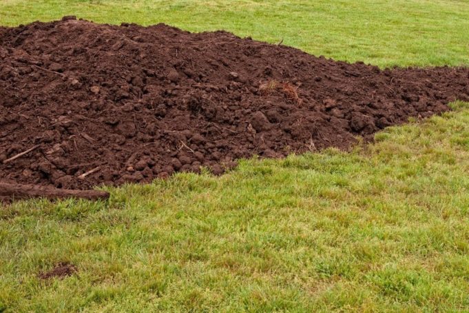 Unebener Rasen: so können Sie ihn begradigen - Gartendialog.de