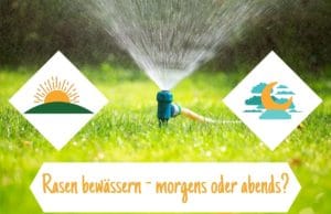 Rasen sprengen