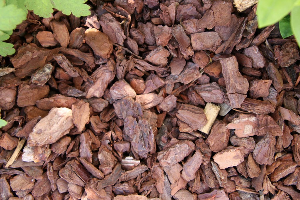 Rindenmulch