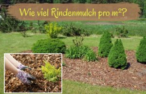 Rindenmulch auftragen