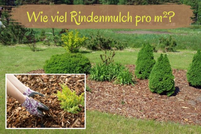 Rindenmulch auftragen