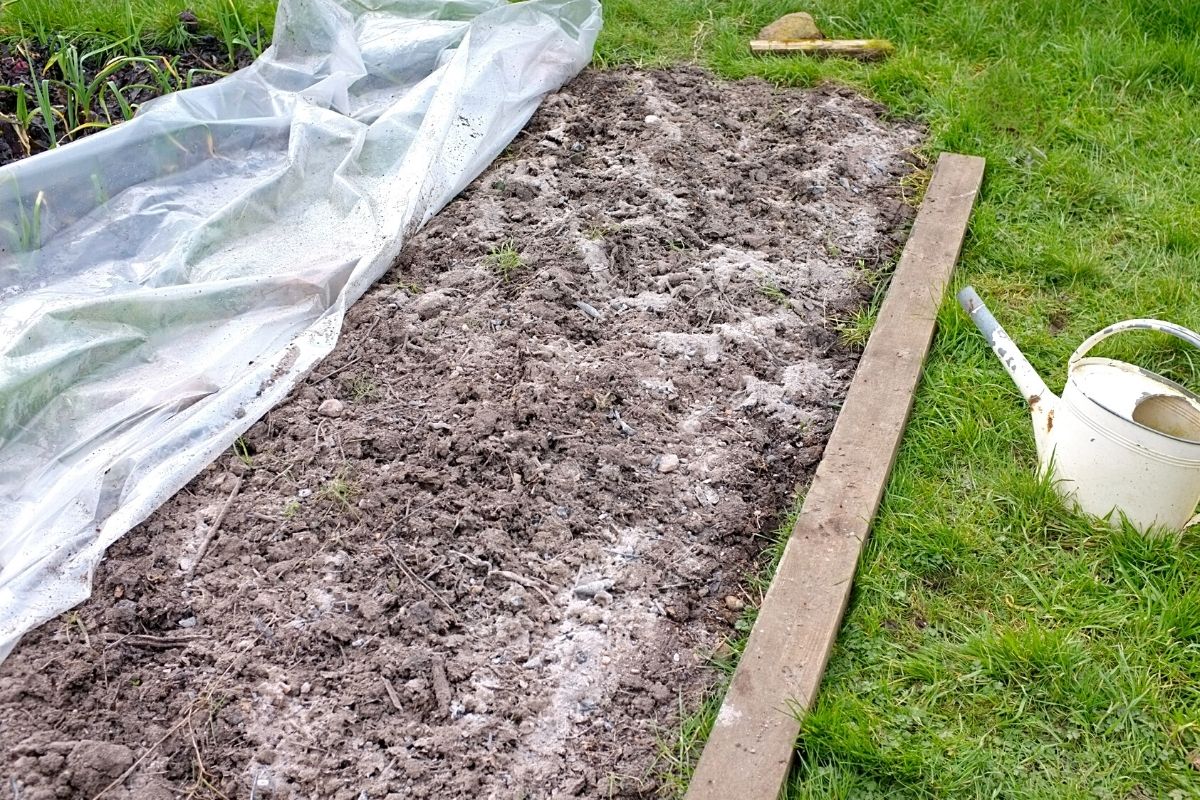 Asche als Dünger richtig verwenden Gartendialog.de