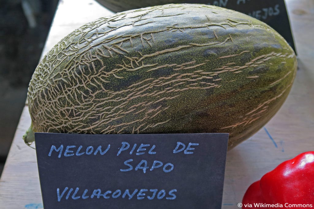 Piel de Sapo