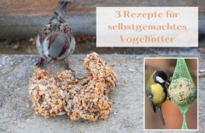 selbstgemachtes Vogelfutter