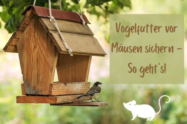 Vogelfutter vor Mäusen sichern