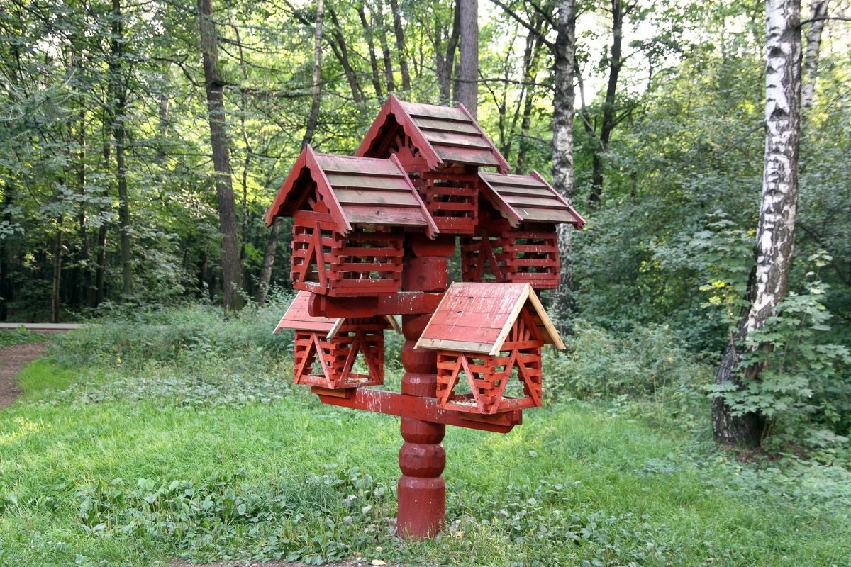 Vogelhaus Vogelfutter