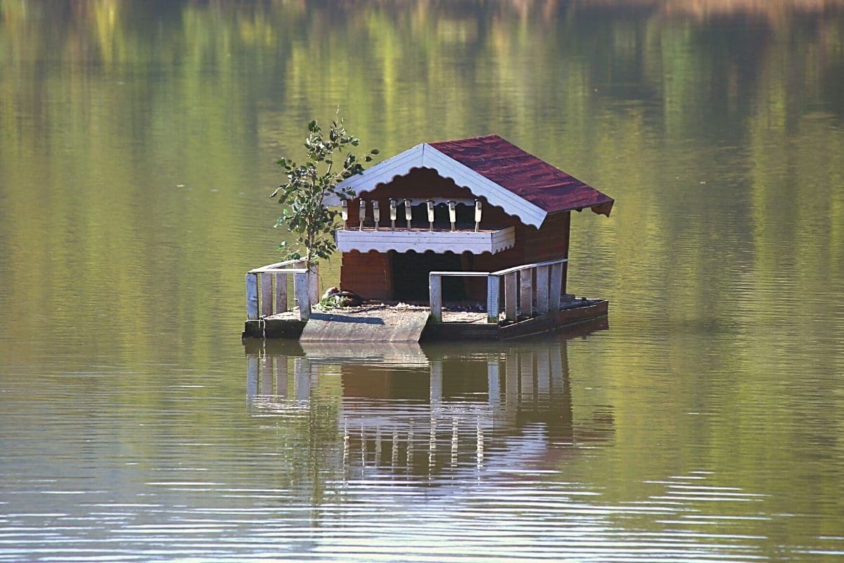 Vogelhaus Wassergraben