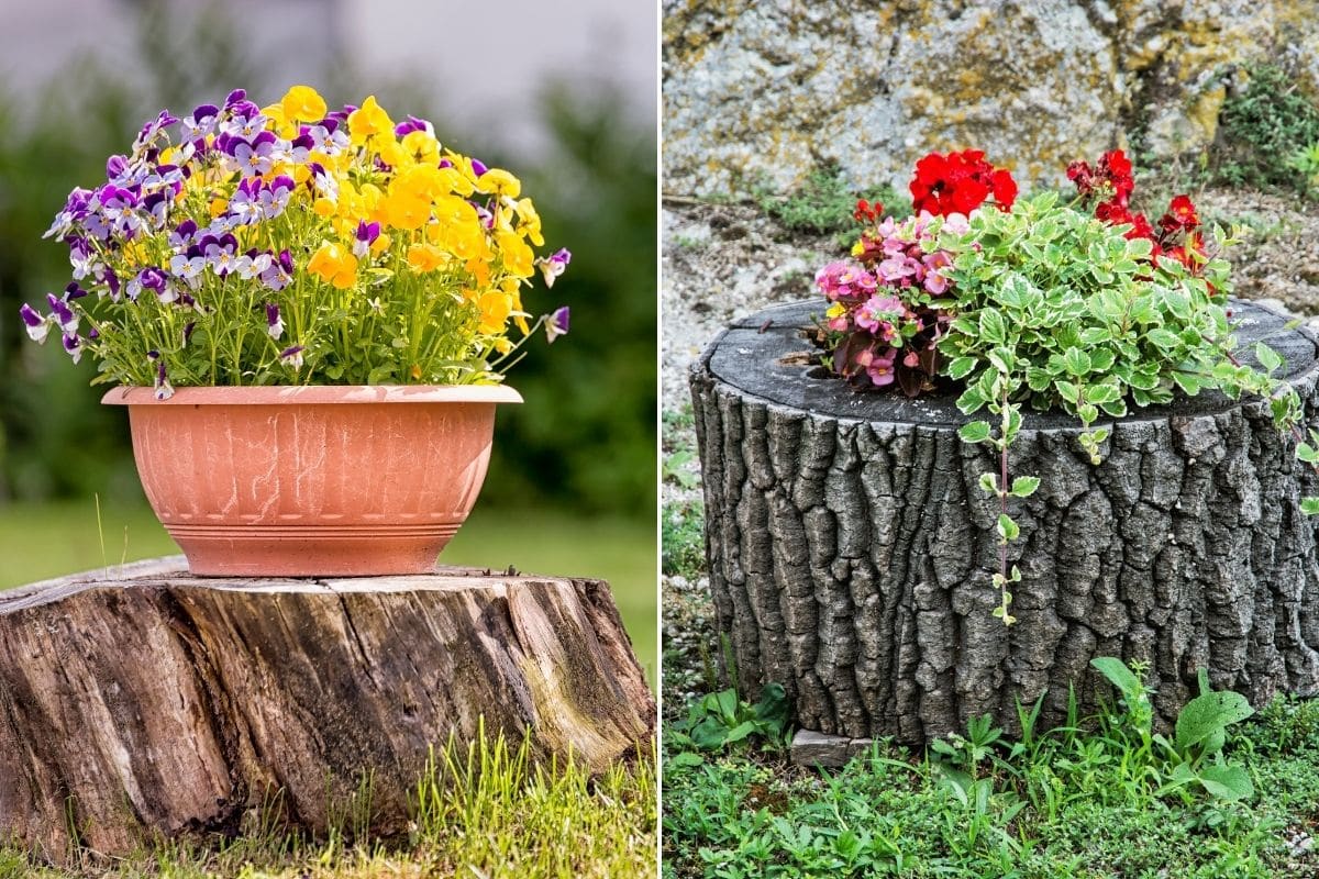 Baumstumpf Im Garten Nutzen Baumstumpf verschönern und dekorieren: 8 Ideen - Gartendialog.de