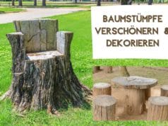 Baumstumpf verschönern