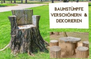 Baumstumpf verschönern