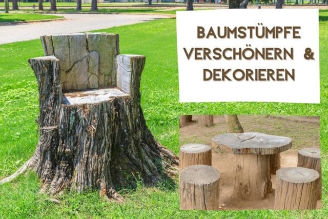 Baumstumpf verschönern