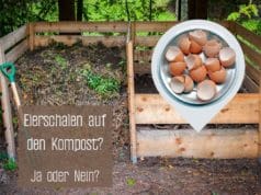 Eierschalen auf dem Kompost