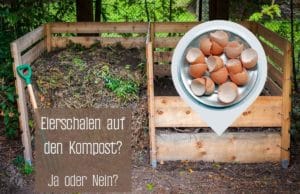Eierschalen auf dem Kompost