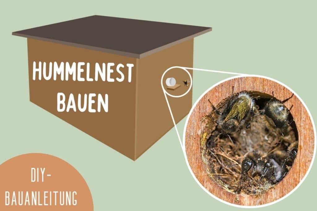 Hummelnest bauen DIYHummelkasten Bauanleitung