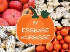 Essbare Kürbisse