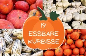 Essbare Kürbisse