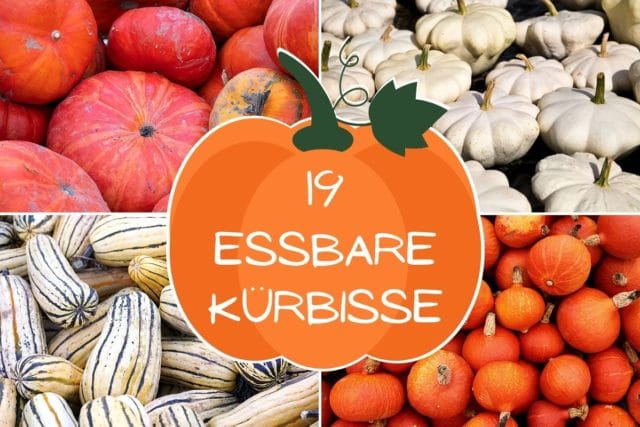 Essbare Kürbisse