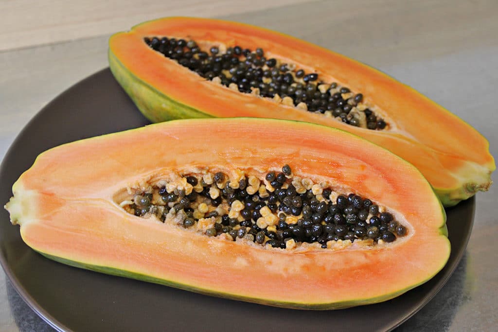 Papaya, Carica papaya