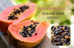 Papayakerne gesund oder giftig