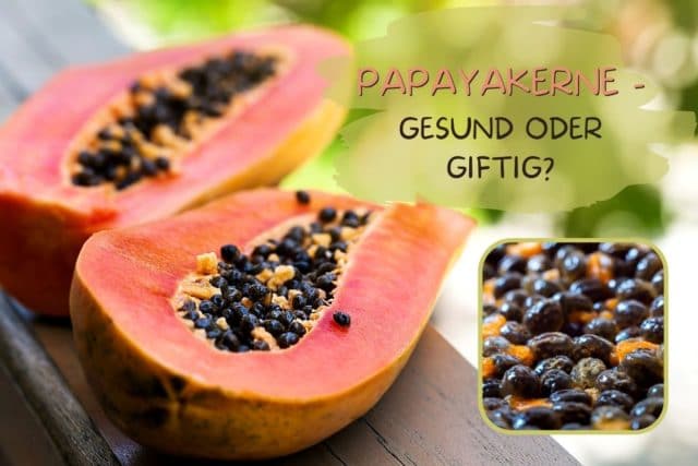 Papayakerne gesund oder giftig