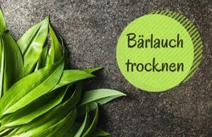 Bärlauch trocknen