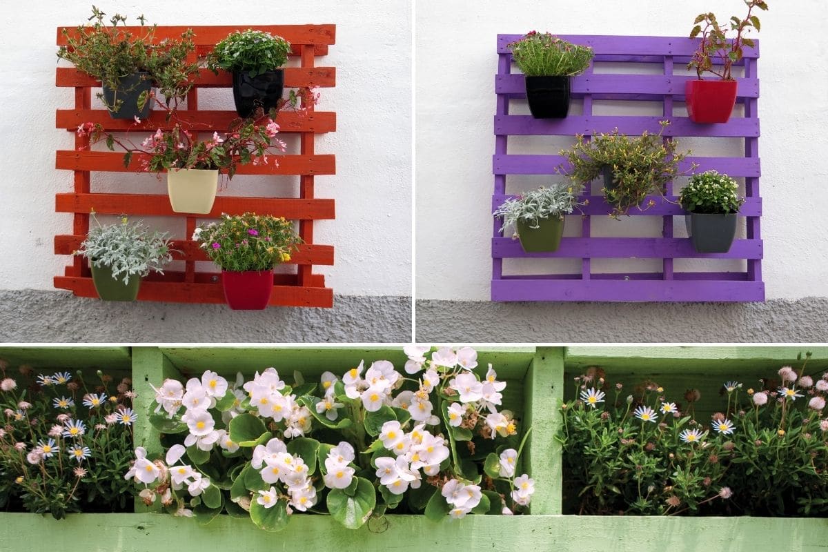 Paletten bepflanzen 8 Tipps für die Blumenwand