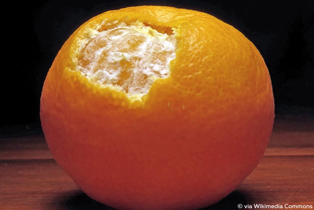 Clementinen (Citrus × clementina)