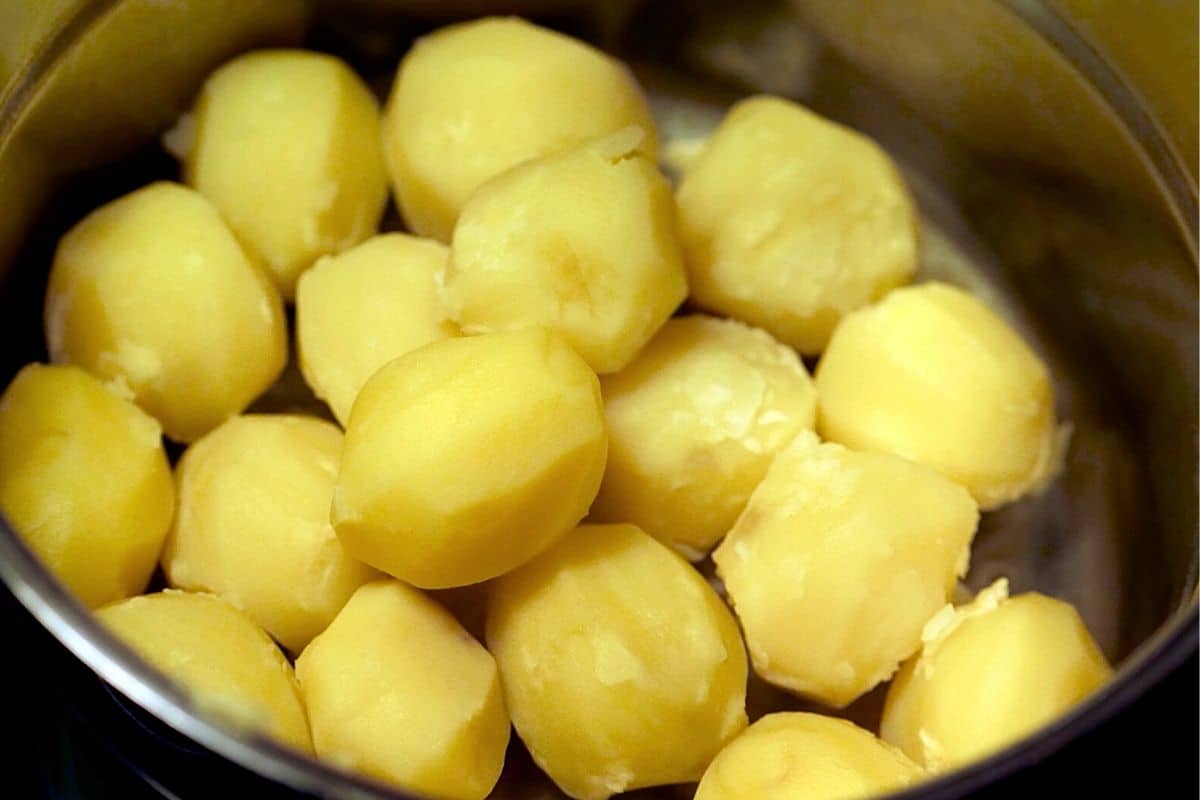 Dürfen Katzen eigentlich Kartoffeln essen? Gartendialog.de