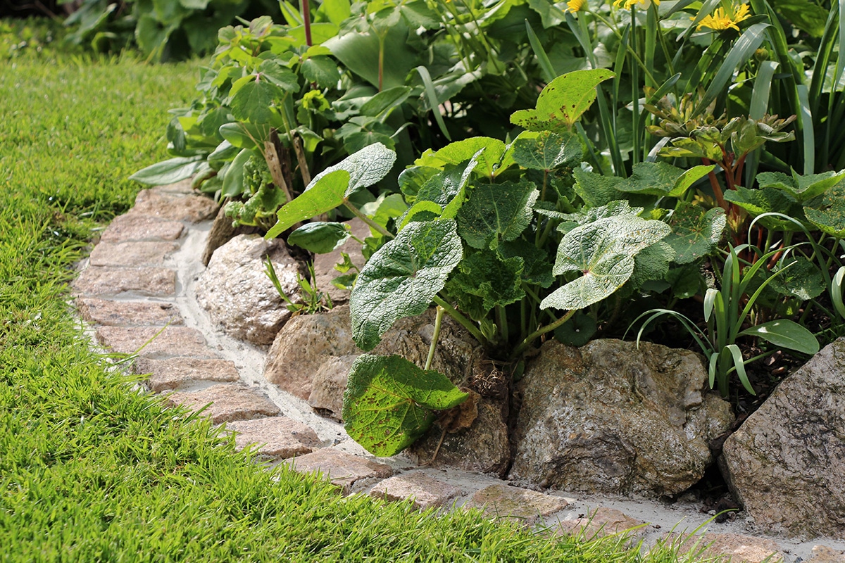 Beeteinfassung aus Stein: 6 Ideen & Anleitung - Gartendialog.de