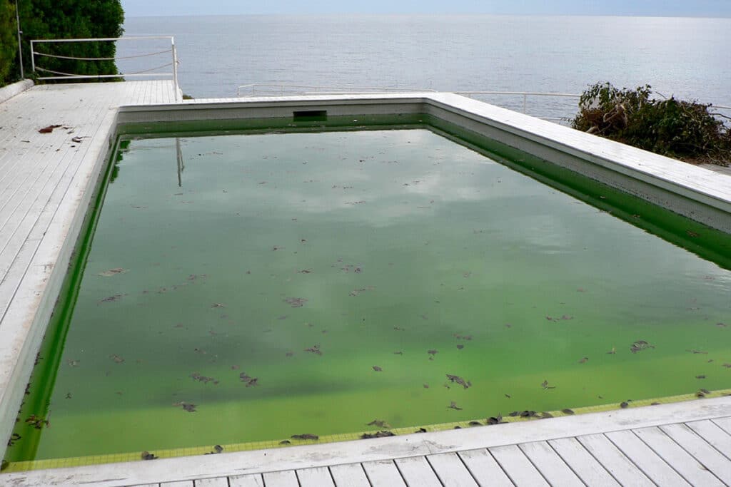 Grün tun was wasser pool Poolwasser ist