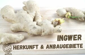 Ingwer Herkunft - Ingwer-Wurzel