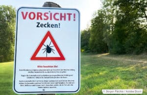 Zeckenzeit: wann ist die Zeckensaison 2025?