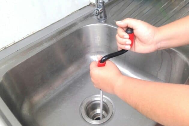 Schwarze Würmer in der Dusche: schnelle Hilfe - Gartendialog.de