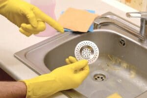 Schwarze Würmer in der Dusche: schnelle Hilfe - Gartendialog.de