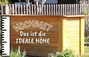 Hochbeet - Wie hoch sollte es sein