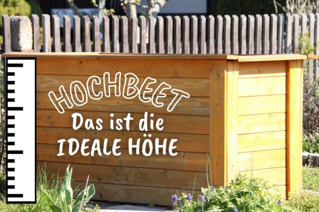 Hochbeet - Wie hoch sollte es sein