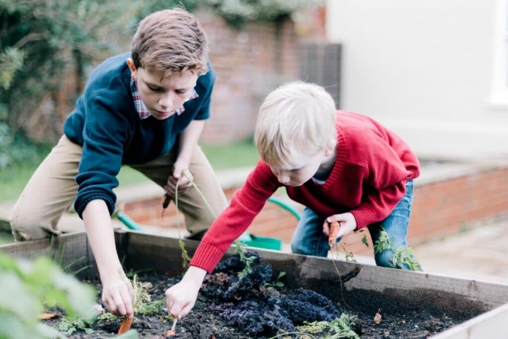 Kinder an Hochbeet