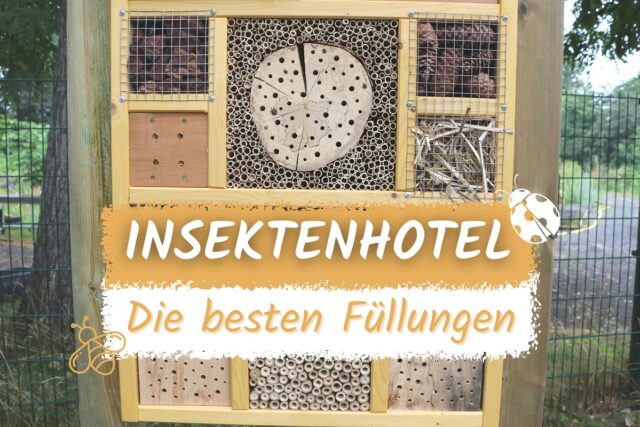 Insektenhotel mit Füllmaterial