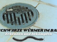 Schwarze Würmer in der Dusche