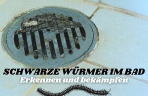 Schwarze Würmer in der Dusche