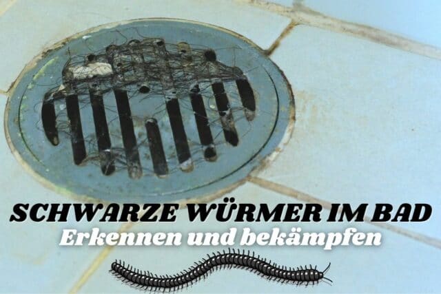 Schwarze Würmer in der Dusche