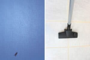 Schwarze Würmer in der Dusche: schnelle Hilfe - Gartendialog.de