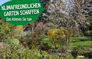 Klimafreundlicher Garten - Nachhaltig gärtnern