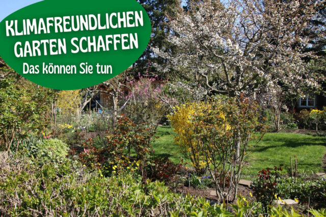 Klimafreundlicher Garten - Nachhaltig gärtnern