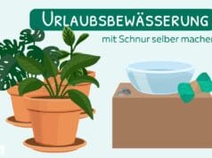 Urlaubsbewässerung mit Schnur selber machen