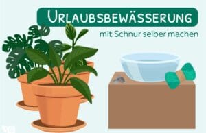 Urlaubsbewässerung mit Schnur selber machen