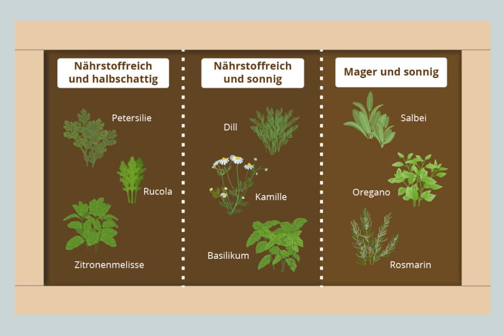 Zonen in Kräuterhochbeet